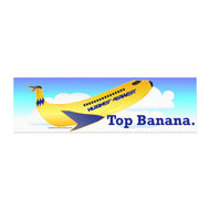 Car Magnet 10