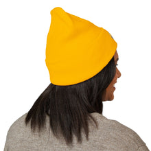 Load image into Gallery viewer, Embroidered Classic Cuffed Beanie - Big Sky Airlines 1980s logo
